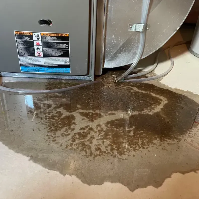 Appliance Leak Cleanup in Tenafly, NJ